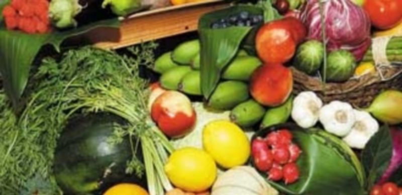 El sector de frutas y hortalizas es uno de los que representa más actividad exportadora. / El Adelantado