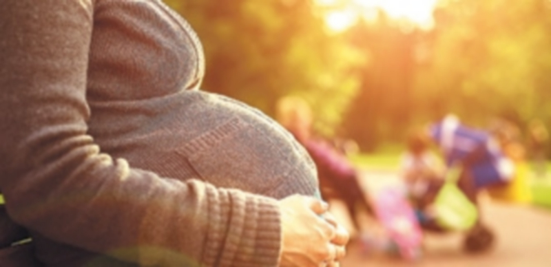 Las prestaciones por maternidad supusieron en Segovia 800.000 euros a la Seguridad Social en el primer trimestre. / Europa Press