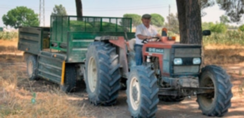 Los sectores en los que más autónomos hay dados de alta son Servicios y Agricultura. / Europa Press