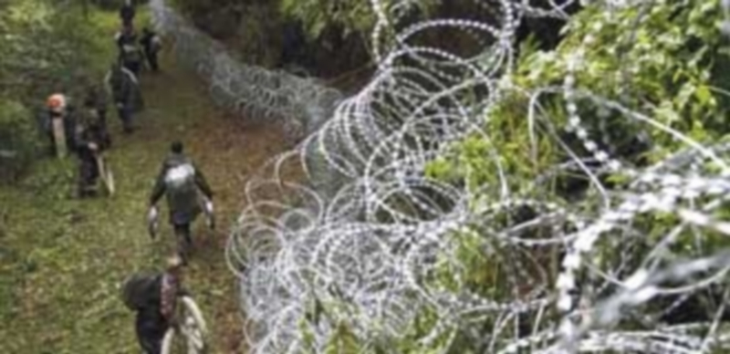 Soldados húngaros continúan levantando la alambrada en la frontera con Croacia en Zakany (Hungría). / Efe