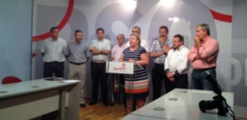 La eurodiputada socialista y vicepresidenta de la Comisión de Agricultura del Parlamento Europeo