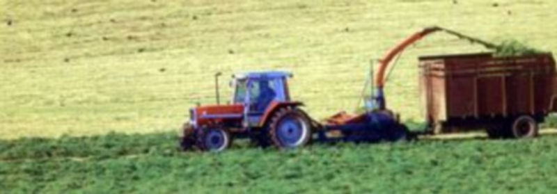 La nueva PAC tiene una mayor reorientación hacia el medio ambiente. / E. A.