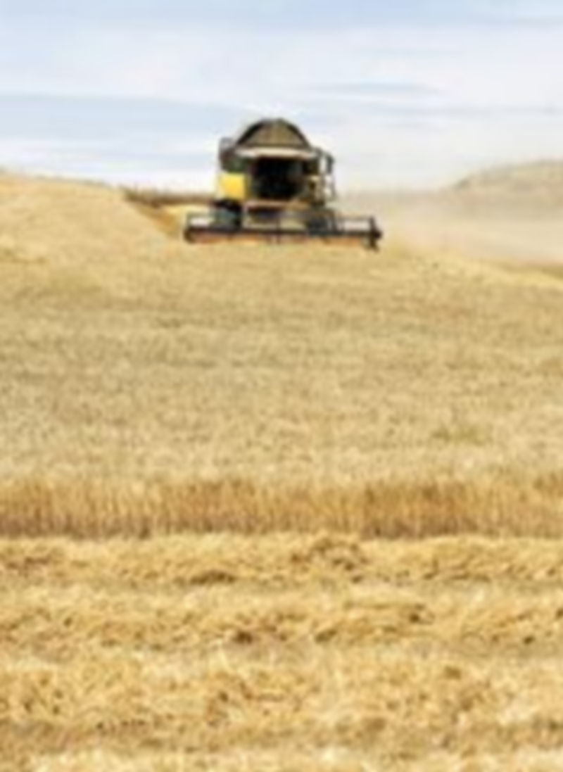 Un cosechadora avanza por una parcela de cereal en la provincia de Palencia. / Ical