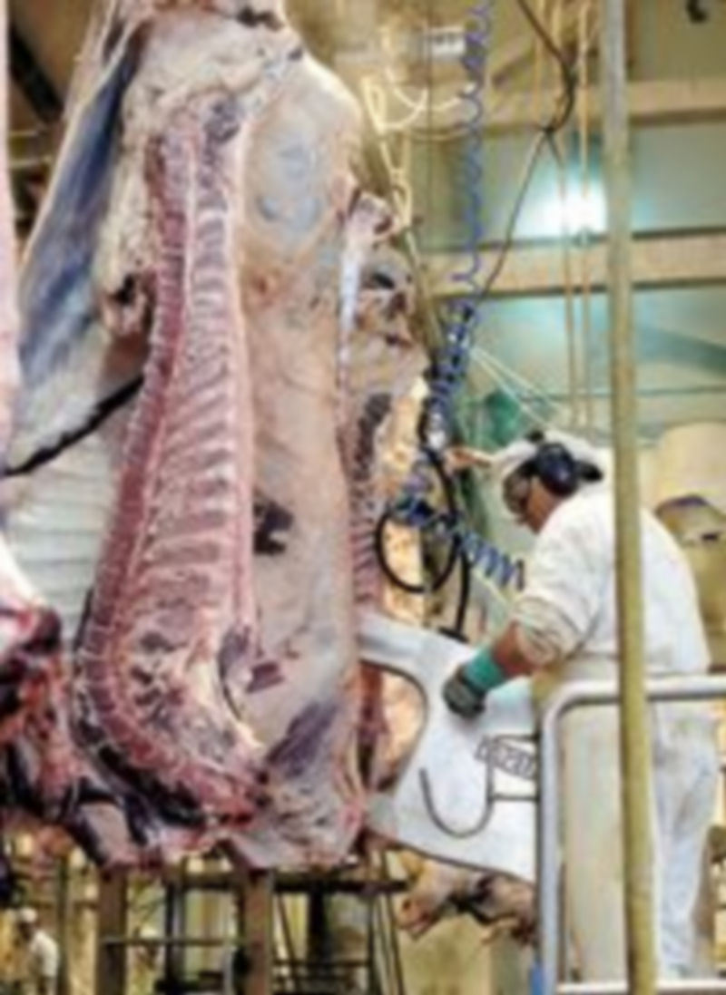 Un empleado durante su jornada laboral en un matadero. / Jesús Javier Matías