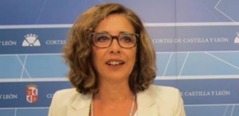 El PSOE pide “de manera inmediata” 5 millones para ayudas al alquiler 1 La viceportavoz socialista de Fomento en las Cortes