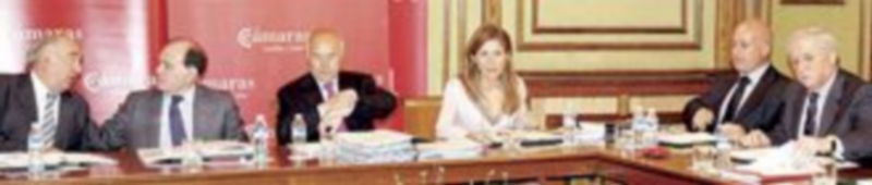 Un momento de la reunión del pleno del Consejo Regional de Cámaras. / Ical