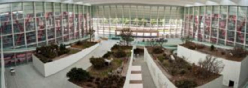 Interior del Museo de la Evolución Humana ubicado en Burgos. / Ical