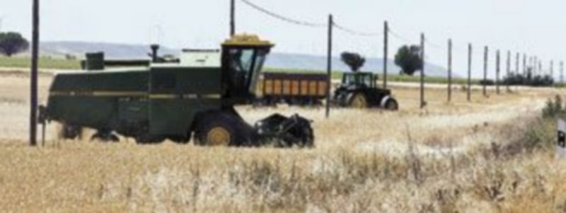 La última cosecha en España fue bastante pobre