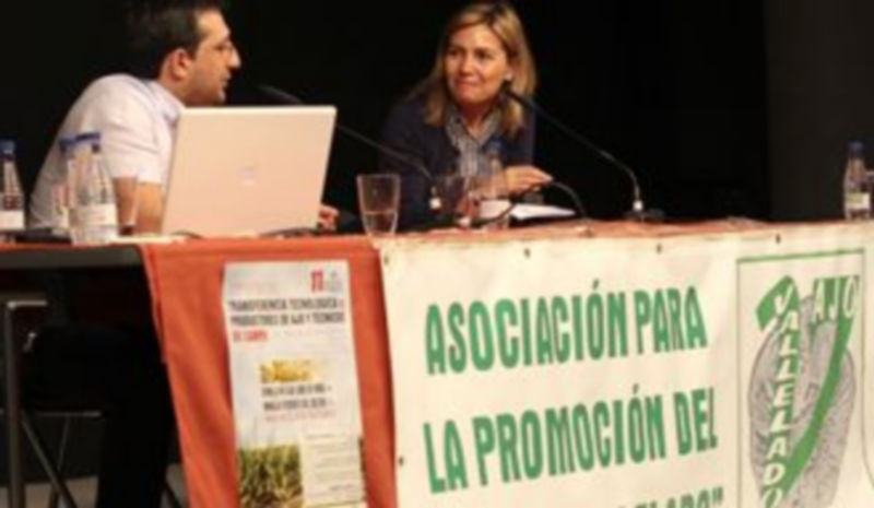 La Asociación para la Promoción del Ajo de Vallelado lleva tiempo defendiendo una semilla libre de virus. / Gabriel Gómez