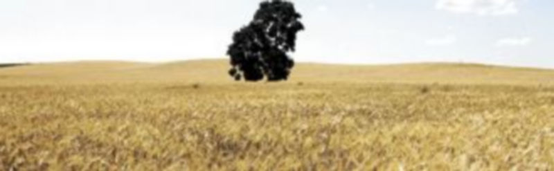 La Administración agraria asegura que no está por la labor de aplicar rebajas importantes ni de devolver impuestos. /Luis López