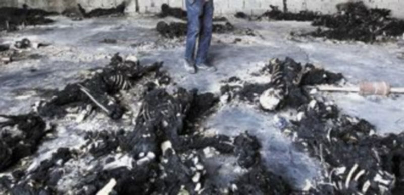 Un rebelde observa los cuerpos de 32 opositores al régimen aparecidos en un almacén de Trípoli. / Reuters