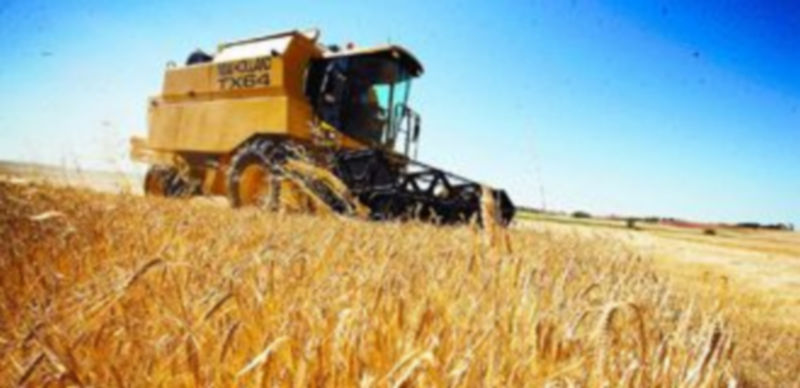 Una cosechadora realiza trabajos de recogida de cereal en una explotación agrícola. / Alberto Rodrigo