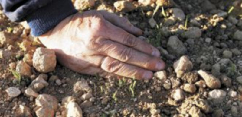 En caso de que el programa planteado se cumpliese