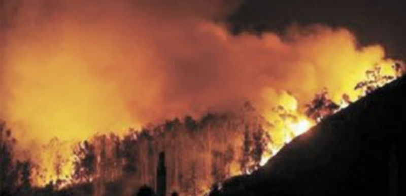 Las llamas se declararon a las 15