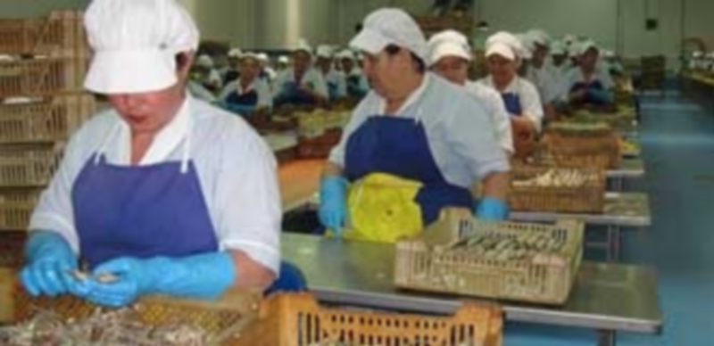 El absentismo laboral supuso unos costes  en 2015 de 5.132 millones. / E. P.