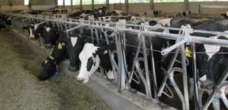 La UE destaca “la poca información de los españoles sobre la PAC” 1 El 58 por ciento de los españoles está de acuerdo en que la PAC beneficia a todos los ciudadanos. / Europa Press