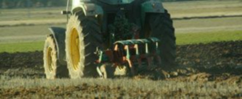 Un agricultor realiza labores de arado en una finca dedicada a cultivos de secano . / El Adelantado
