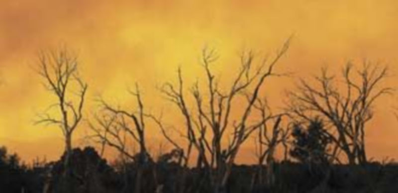 El fuego ha arrasado en los seis primeros meses del año casi un 50 por ciento más que en el mismo período de 2011. / Reuters