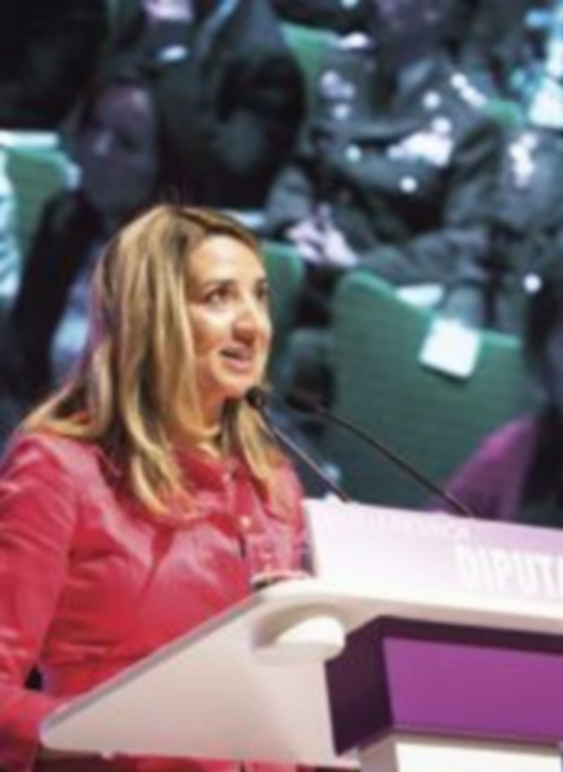 La consejera asistió en Burgos a la celebración del «Día de la Provincia». / Ical