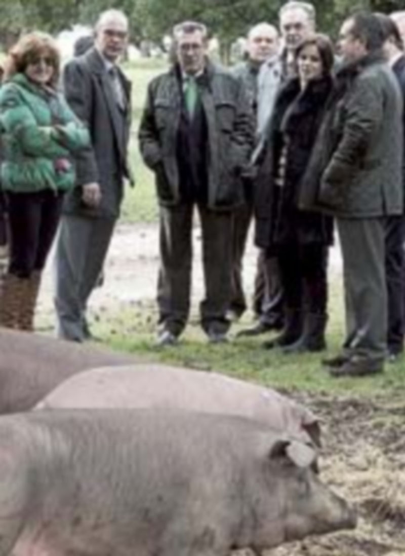 Silvia Clemente visita una explotación de cerdos ibéricos en Salamanca. / D. A. (ICAL)