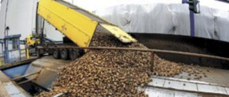 El sector remolachero podría ser uno de los más perjudicados por la futura PAC