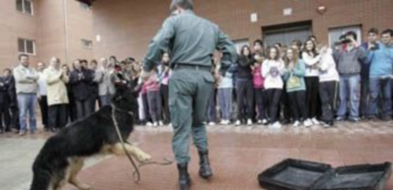 El delegado del Gobierno y el consejero de Educación presentan el Plan Director de Seguridad y Convivencia. / Iical