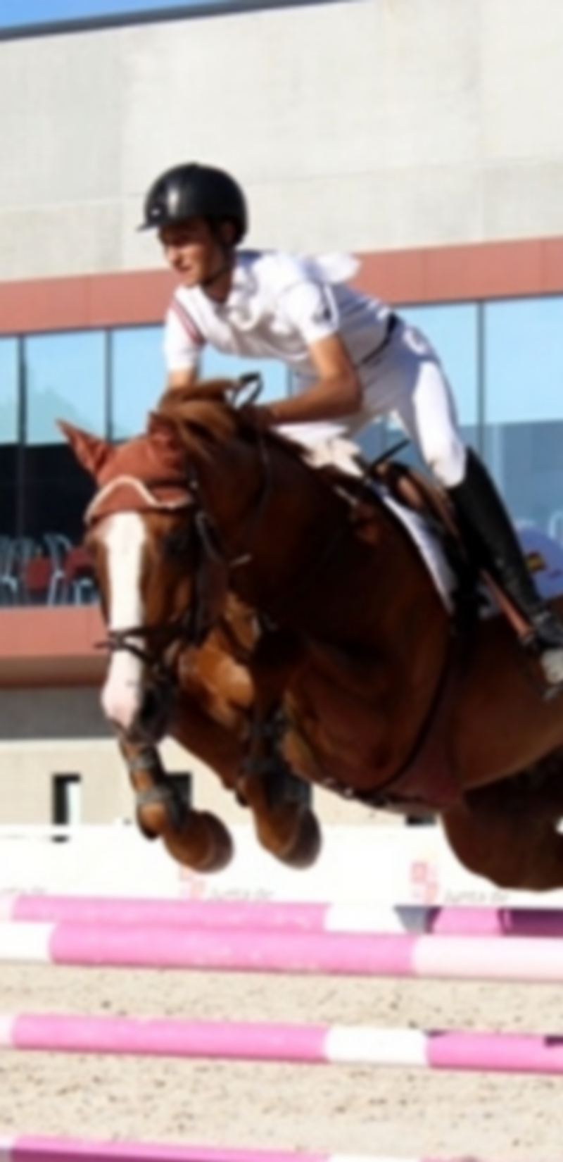 Un momento del concurso de Pedro Fernando Mateos. / El Adelantado