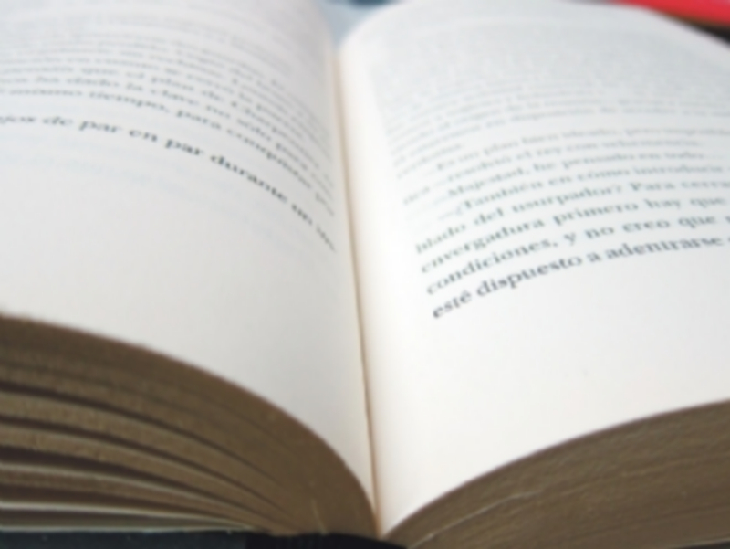 El volumen de lectura promedio de libros por día se incrementó durante el mes de julio un 35 por ciento. / Europa Press