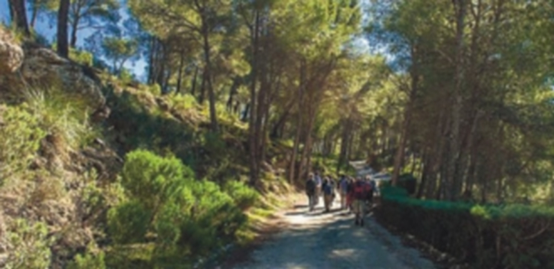 La degradación de los suelos de zonas áridas