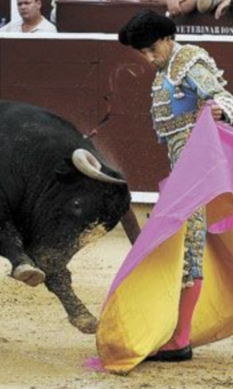 Un torero enfrentándose a un astado.