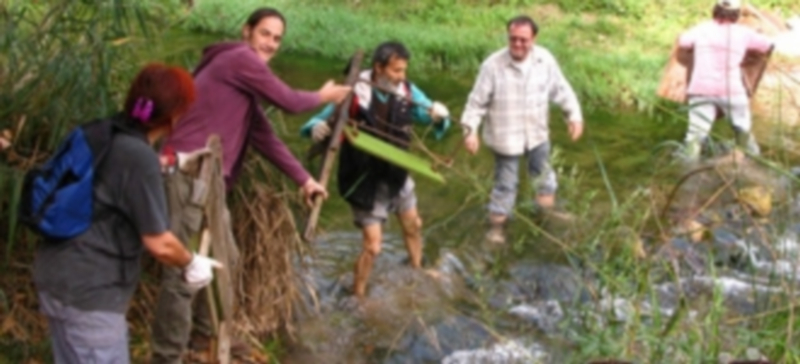 Un grupo de voluntarios de diferentes edades sacan restos de mobiliario arrojados al cauce de un río. / Agencias