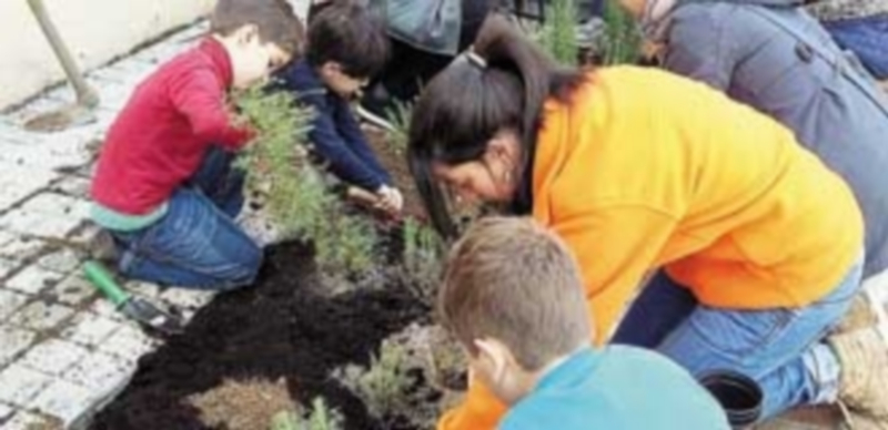 Las actividades están disponibles hasta el próximo 30 de junio y en ellas participan grandes y pequeños. / EL ADELANTADO