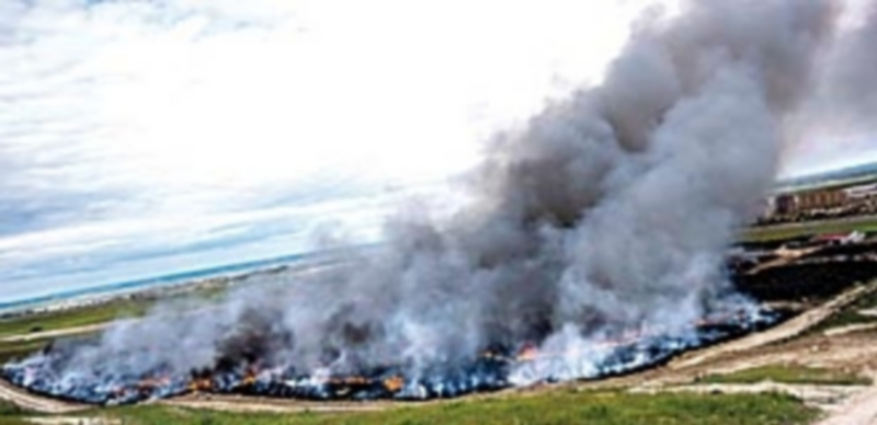 El fuego arrasa desde el pasado viernes una superficie de miles de hectáreas del cementerio de neumáticos de Seseña. / Efe