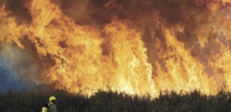 Las intensas rachas de viento en Valencia están dificultando que los medios de extinción controlen el incendio de Chulilla. / Reuters