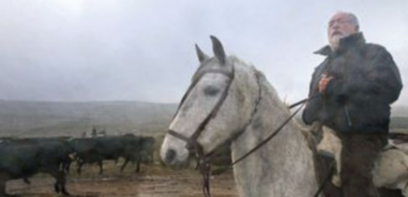 Arias Cañete asiste en Navadijos a la salida del ganado trashumante de Ávila hacia tierras extremeñas. / M. Martín (Ical)