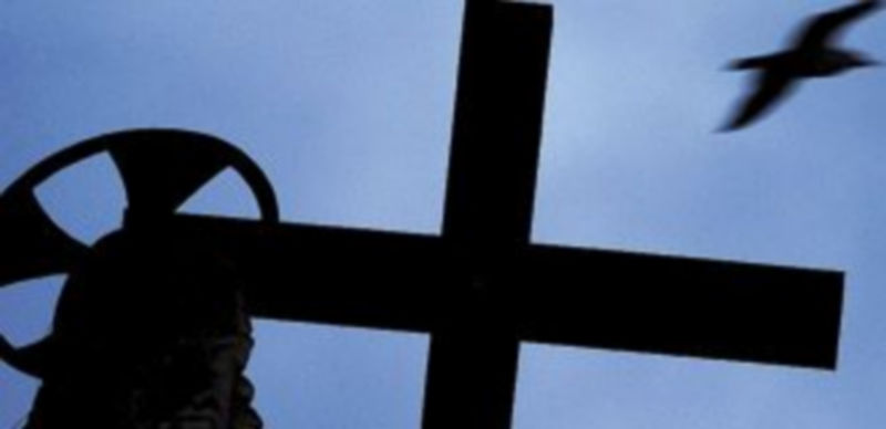 Una paloma sobrevuela el cielo del Vaticano.