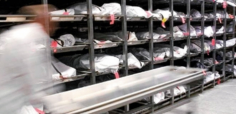 El centro madrileño afirma que los cuerpos se encontraban en «la fase final» del proceso antes de su cremación