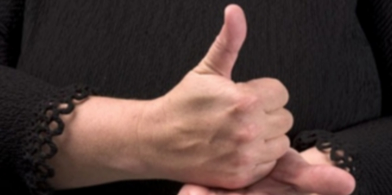 Los intérpretes y especialistas en esta lengua estarían preparados para lleva a cabo tareas como la enseñanza. / Efe