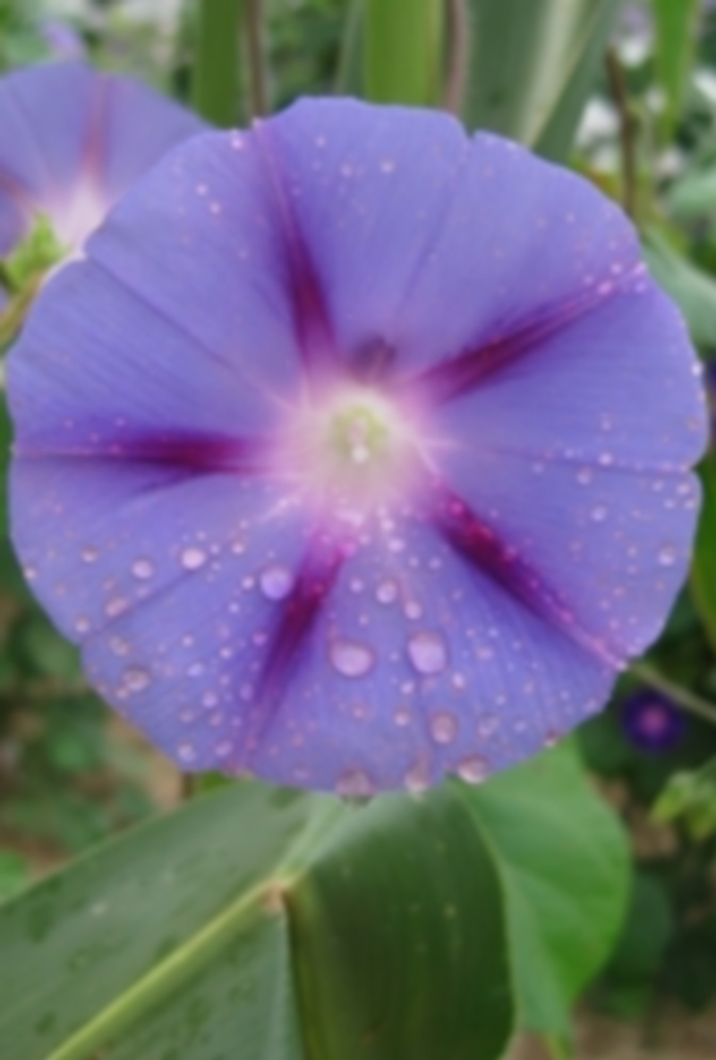 El estudio dice que la disminución del crecimiento será a partir de 2100. / E.P.