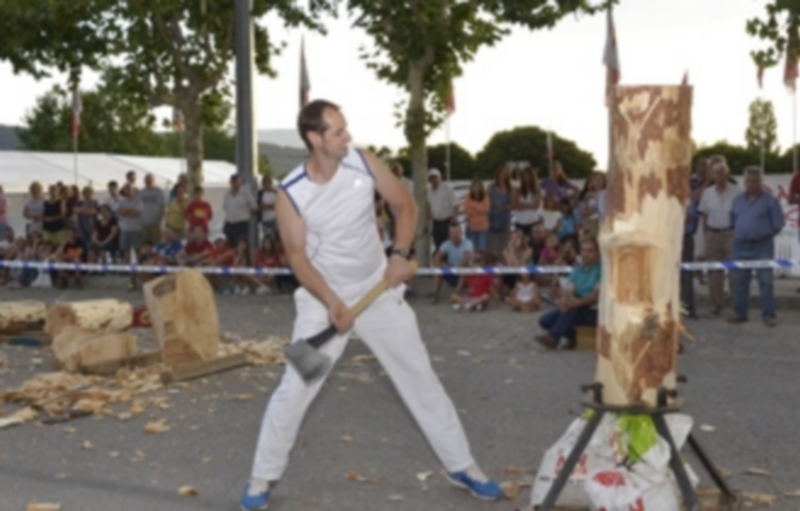 Cortando el tronco durante la exhibición de corte vertical. / Pedro l. Merino
