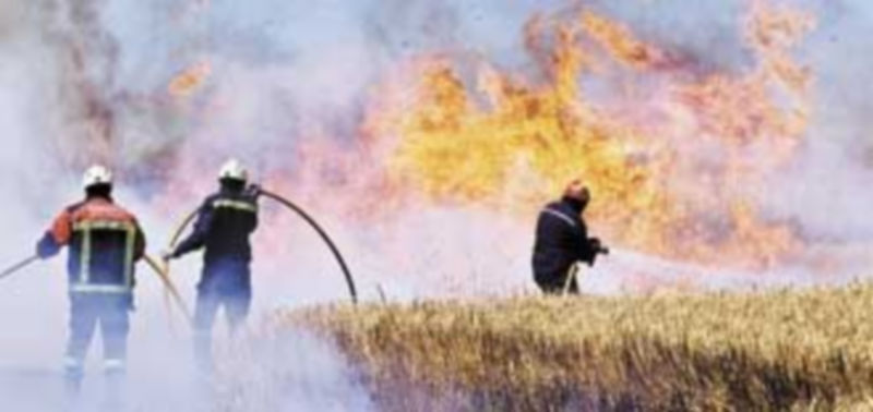 Una dotación de bomberos trata de apagar un incendio a las afueras de Zamora. / Ical.