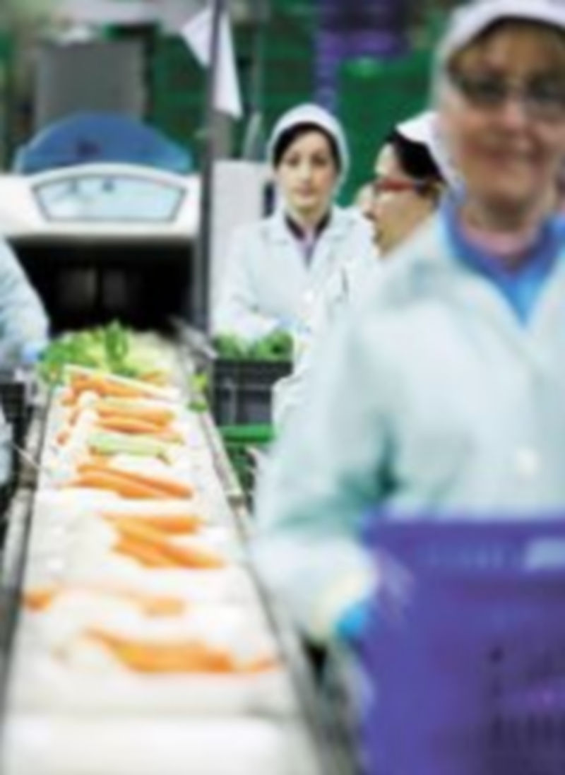 Varias empleadas de un supermercado. / David Pérez