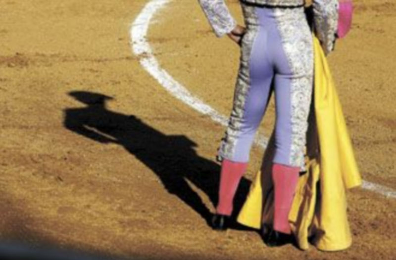 El mundo de la tauromaquia sufre otro golpe al no ser atendida su aspiración de considerar la lidia como bien de interés cultural. / Valdivielso