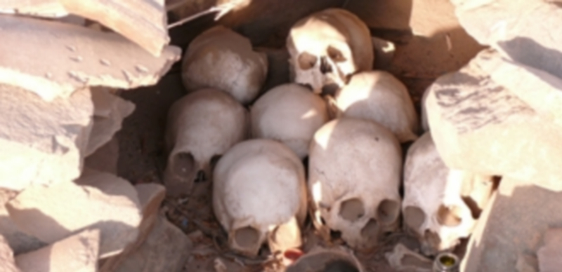 Una parte de los restos hallados en el valle del río Tombo. / AGENCIAS
