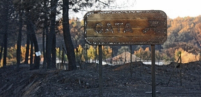 El incendio en la Sierra de Gata deja 7.500 hectáreas calcinadas 1 El fuego que ha arrasado durante esta semana la sierra de Extremadura es uno de los peores siniestros forestales registrados en la comarca hasta la fecha. / Efe