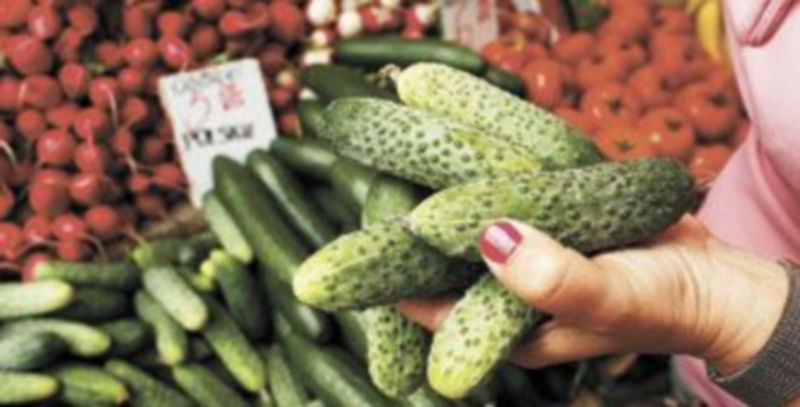 Los pepinos españoles son inocentes de extender una letal bacteria por Alemania