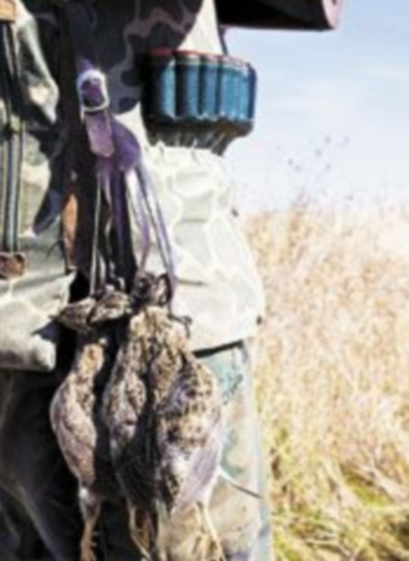 El TSJ ha suspendido varios artículos de la Orden de Caza. / Ical