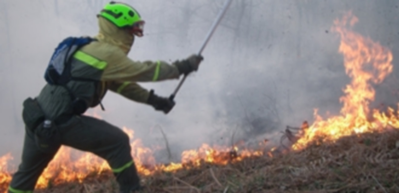 Un operario trabaja en la extinción de un incendio en una imagen de archivo. / Europa Press