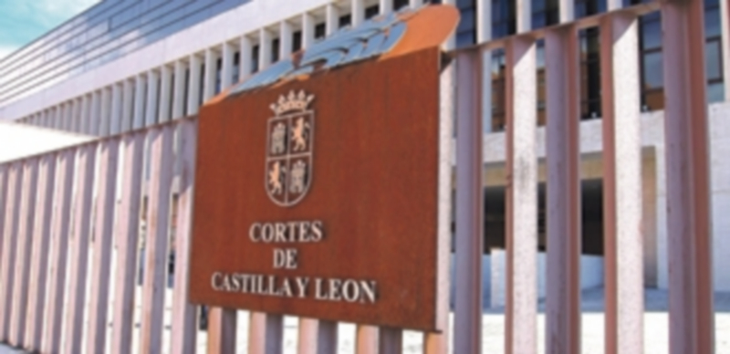 Las Cortes solicitan más ayuda al Estado para el desarrollo rural 1 La moción también instará a la Junta a que intente simplificar al máximo los procedimientos de inversiones. / Europa Press