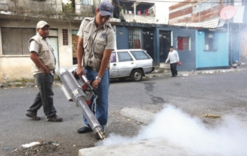 La Organización Mundial de la Salud sugiere controlar y eliminar los criaderos del mosquito y mejorar la vigilancia para evitar su expansión por más países. / Efe